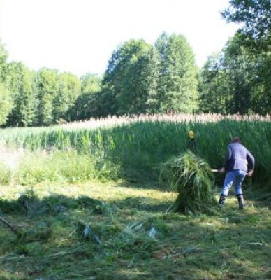 Naturschutzgruppe Teupitzer Seengebiet