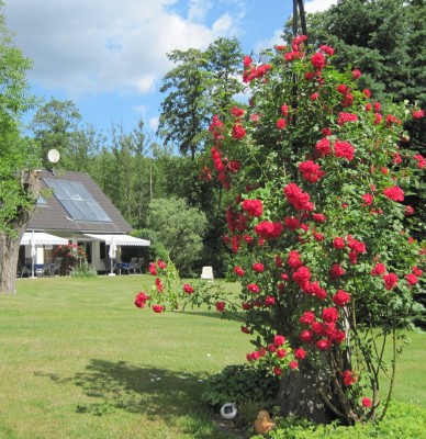 Ferienwohnungen am Teupitzsee Fam. Oncken